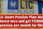 LIC Smart Pension Plan